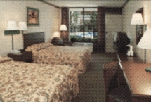 Holiday Inn Express Orlando Airport West Room