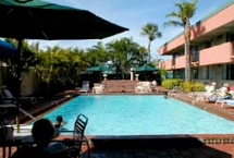 Quality Inn South Miami - Pool